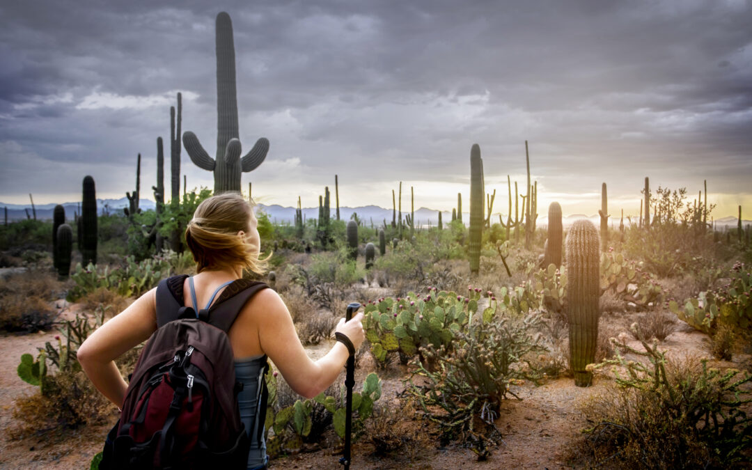 What&rsquo;s New in 2025 &ndash; 25 American Experiences for 2025